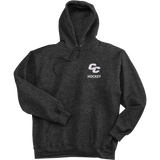 Curry College Super Heavyweight Fleece Hoodie