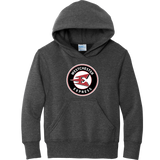 Westchester Express Youth Core Fleece Pullover Hooded Sweatshirt